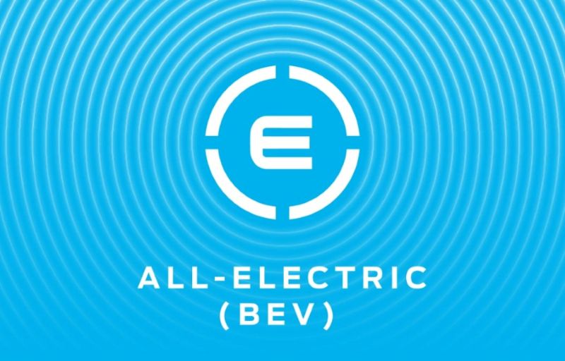 Volledig elektrisch (BEV) Volledig elektrisch (BEV)