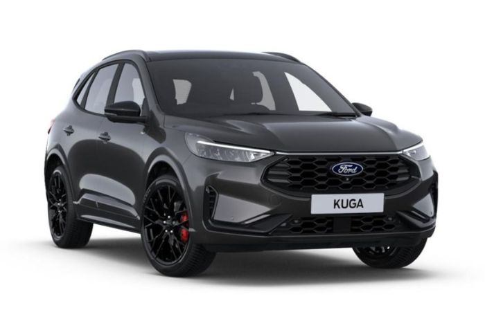 Ford Kuga Black Package