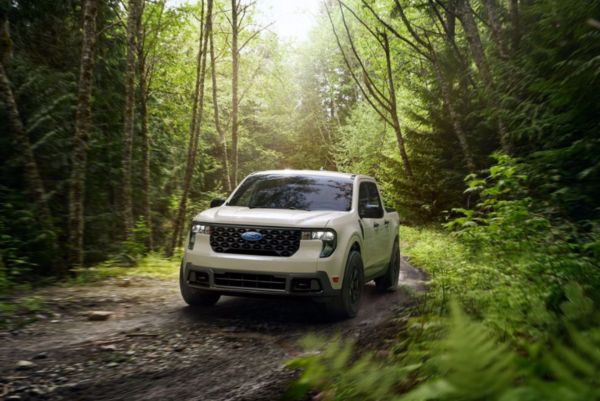 Vehiculos nuevos Curifor Maverick blanca en el bosque