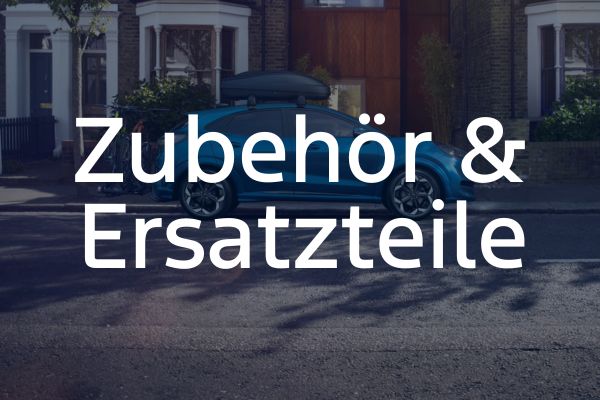 Ford Puma mit Dachbox