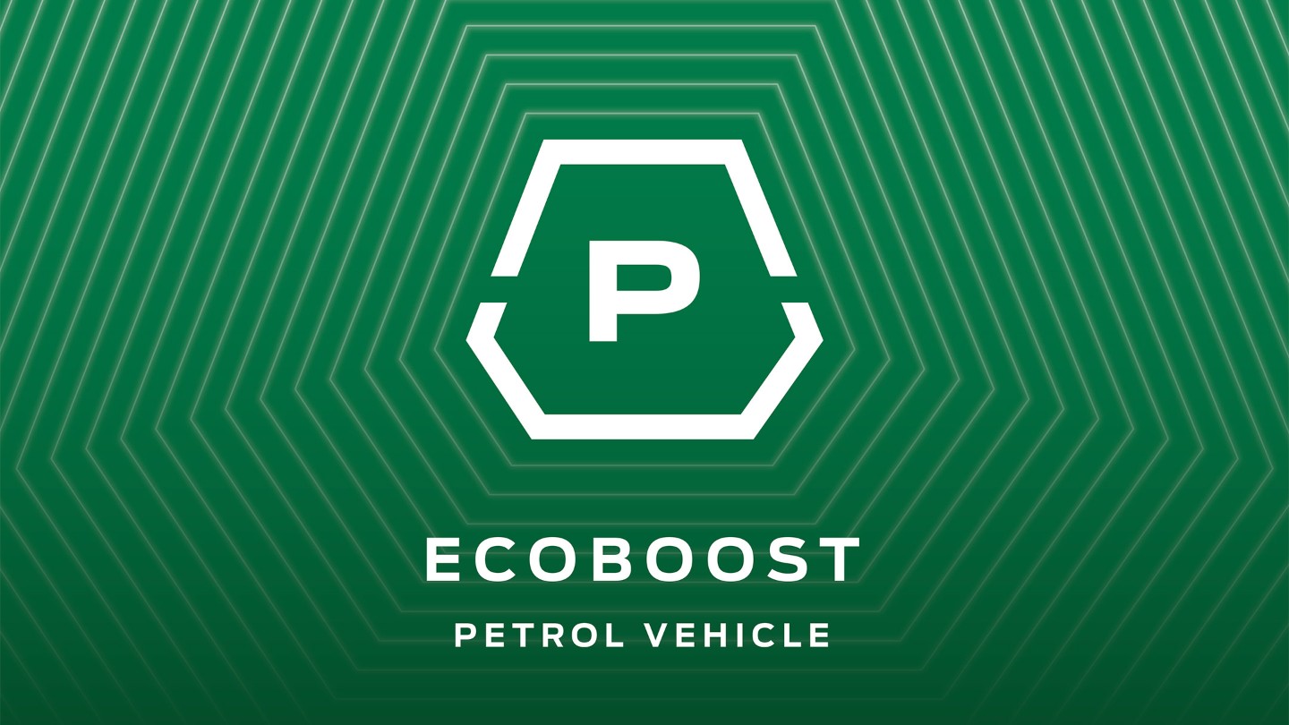 ECOBOOST PETROL logo