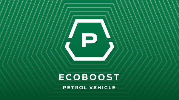 EcoBoost Petrol logo