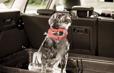 « Rear Occupant Alert » : l'avertissement pour vérifier le siège arrière