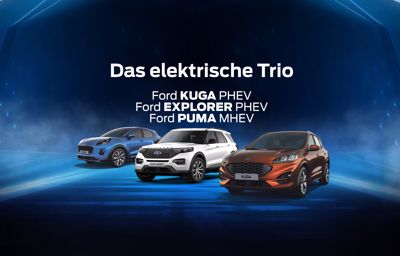 **Das elektrische Trio** bei Ihrer Auto Kappeler