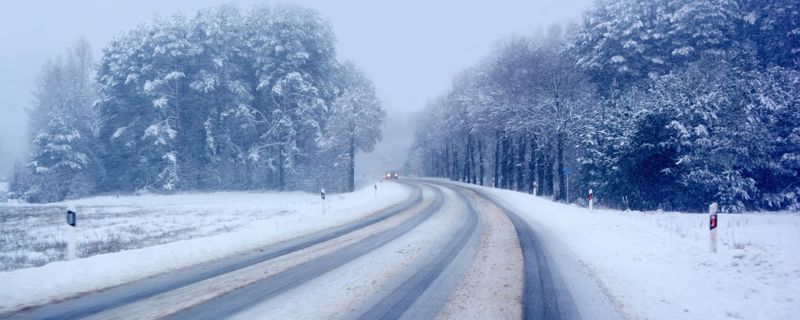Ford Service **Wintercheck**