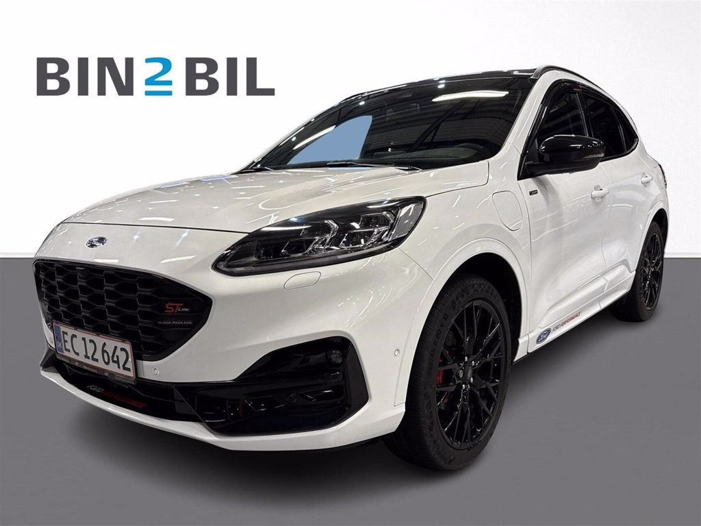 Billede 1