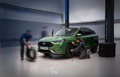 Nye lovkrav for dæk i Danmark