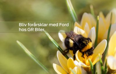 GR Biler - Ford Skive | Forårstilbud på værkstedet 