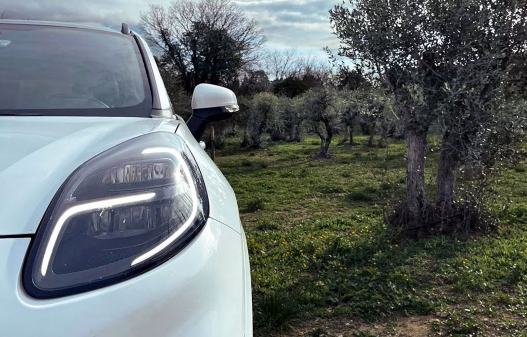 Ford tutkii mahdollisuutta valmistaa autonosia oliivipuusta