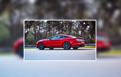 Dans les starting blocks, la Ford Mustang Mach 1 est prête à débarquer pour la première fois sur les circuits européens