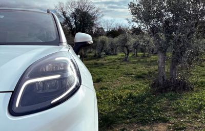 PARTS OF YOUR FUTURE CAR COULD BE MADE FROM OLIVE TREES