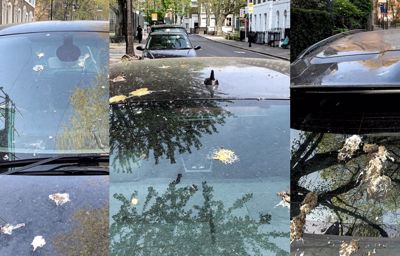 Hoe namaakvogelpoep de lak van je auto beschermt