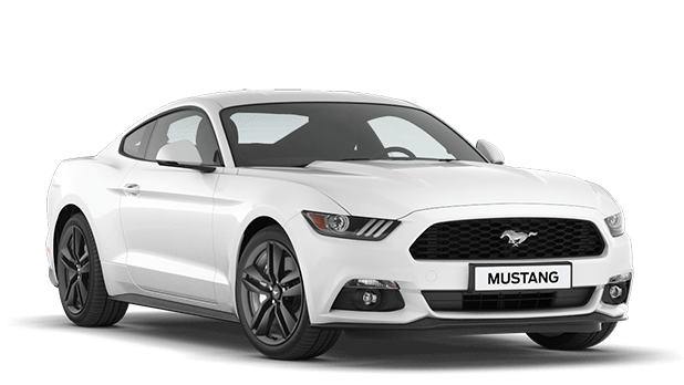 Oxford White