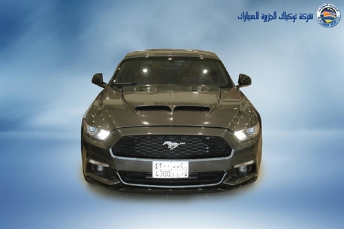 1067571_fe84beee-3e17-4e54-90b9-9b58ff96ff76.jpg
