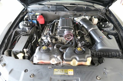 1067637_dab63670-3b70-4b22-9254-e744bf943c93.jpg