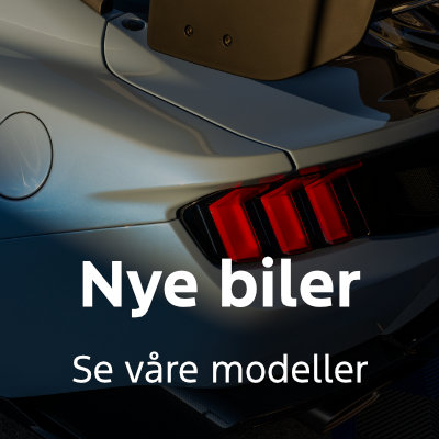 Mustang baklys