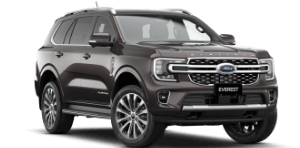 image of ford everest in grey colour